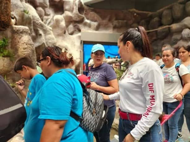 Niños con autismo de Úrsulo Galván visitaron el Aquarium de Veracruz