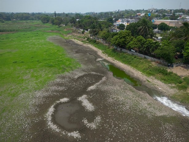 Agonizan lagunas de Veracruz por sequía extrema | VIDEO