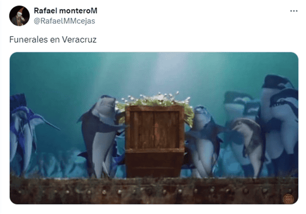 Viral: ¿Cómo iniciaron las burlas con MEMES sobre Veracruz?