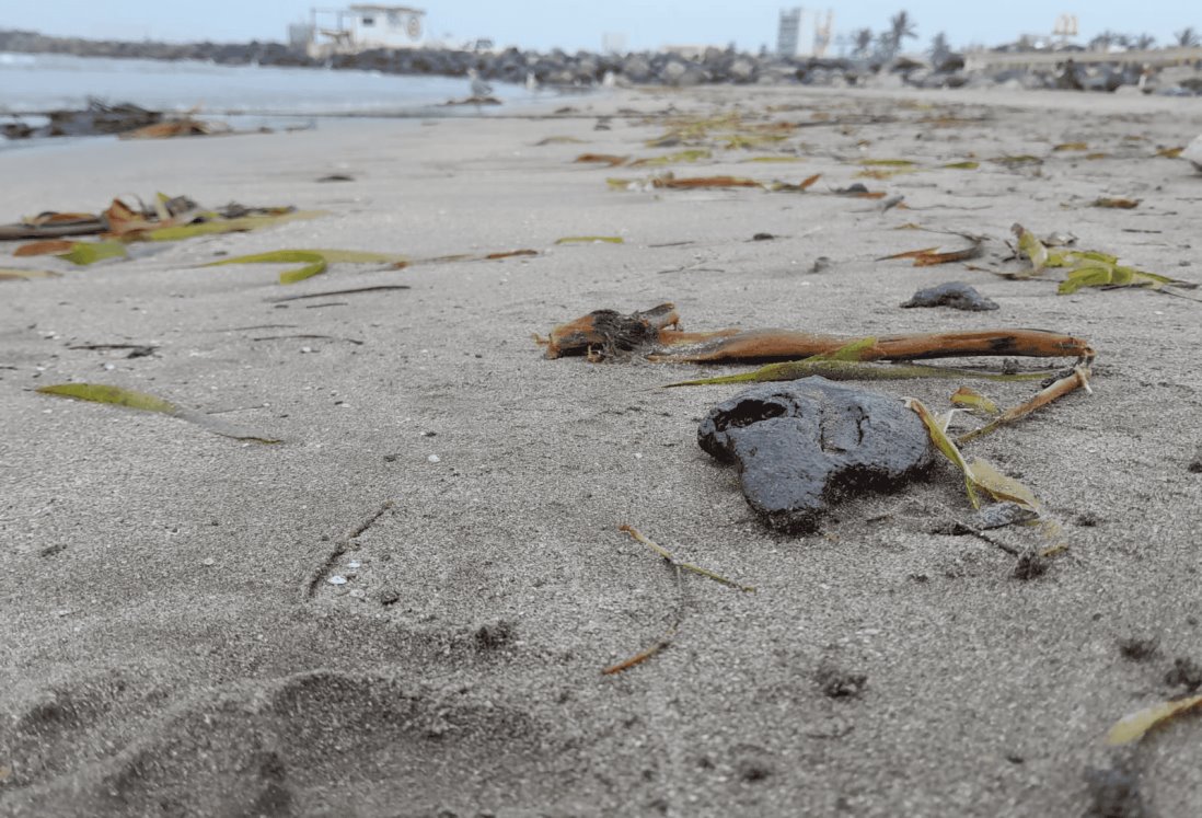 Encuentran chapopote en playas de Veracruz | VIDEO
