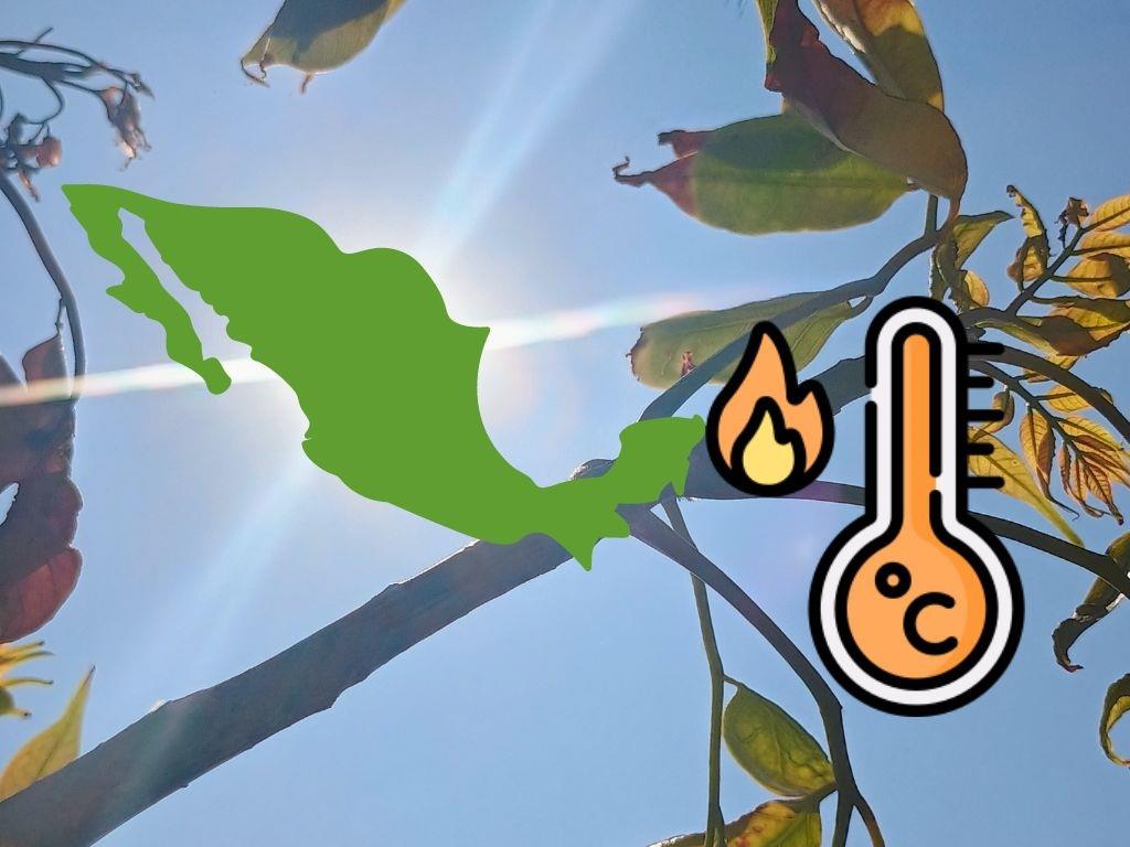 Altas temperaturas en México: ¿Cuál es la diferencia entre canícula y ola de calor?