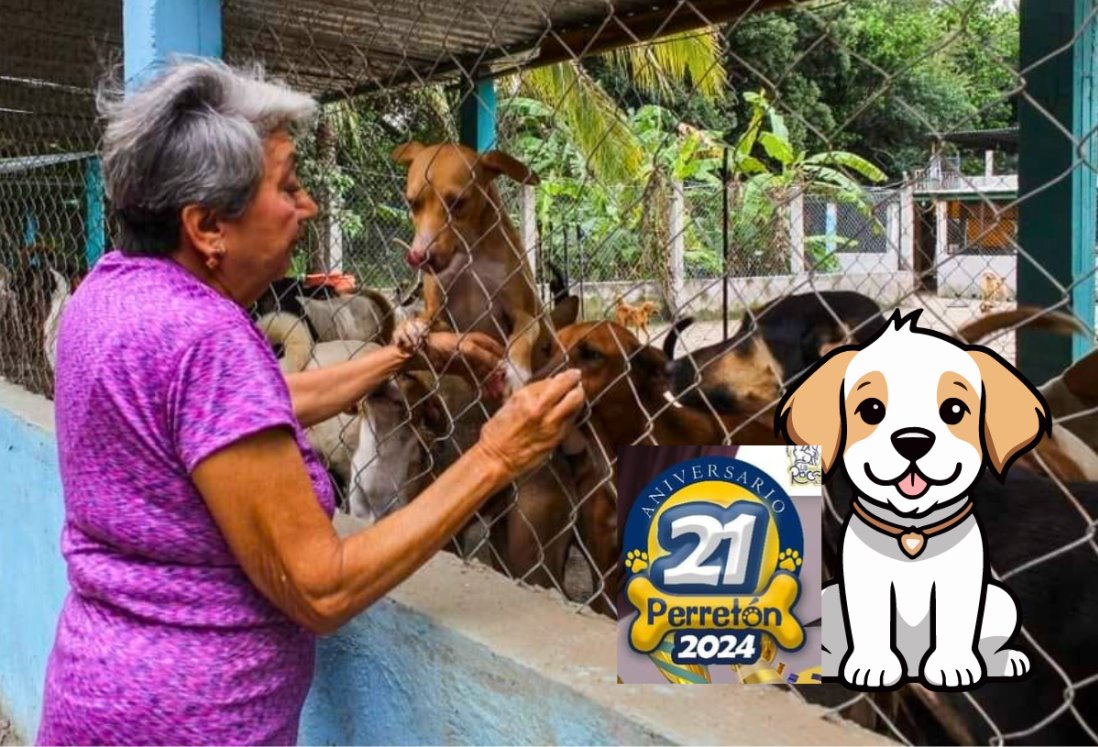 Anuncian el Perretón 2024 en Veracruz; así podrás ayudar a los animalitos de La Roca