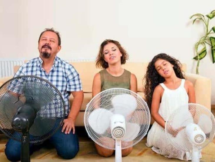 Este es el ventilador que Profeco recomienda por su buen precio y potencia