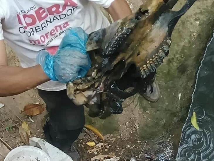 Ciudadanos limpian arroyo contaminado en Sayula