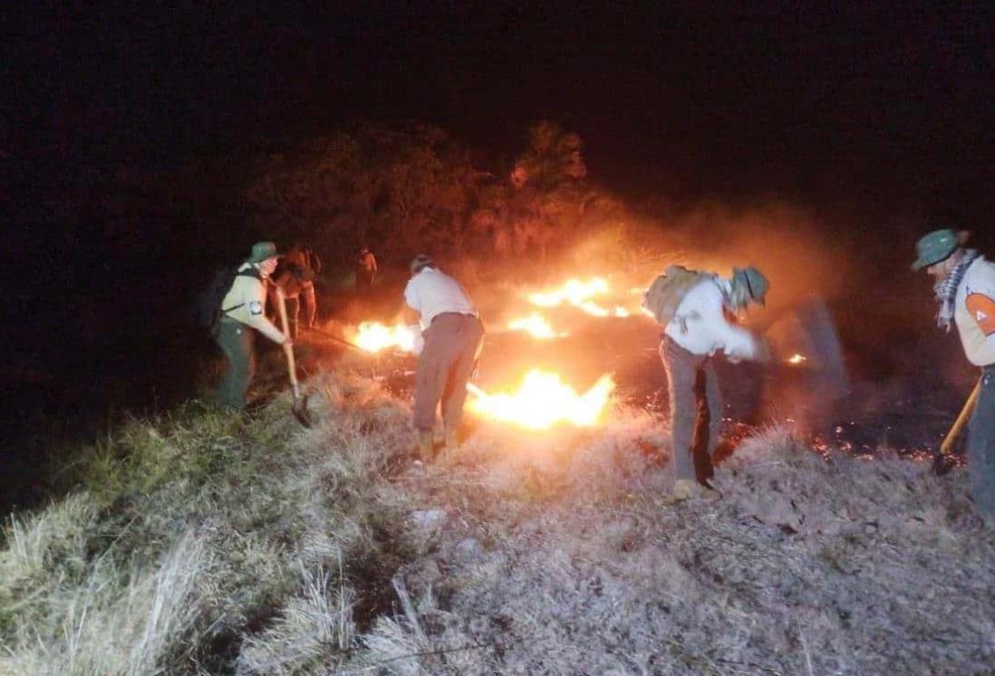 Incendios de pastizales en Alvarado llevan más de 20 horas; activan el Plan Tajín