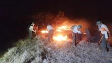Incendios de pastizales en Alvarado llevan más de 20 horas; activan el Plan Tajín