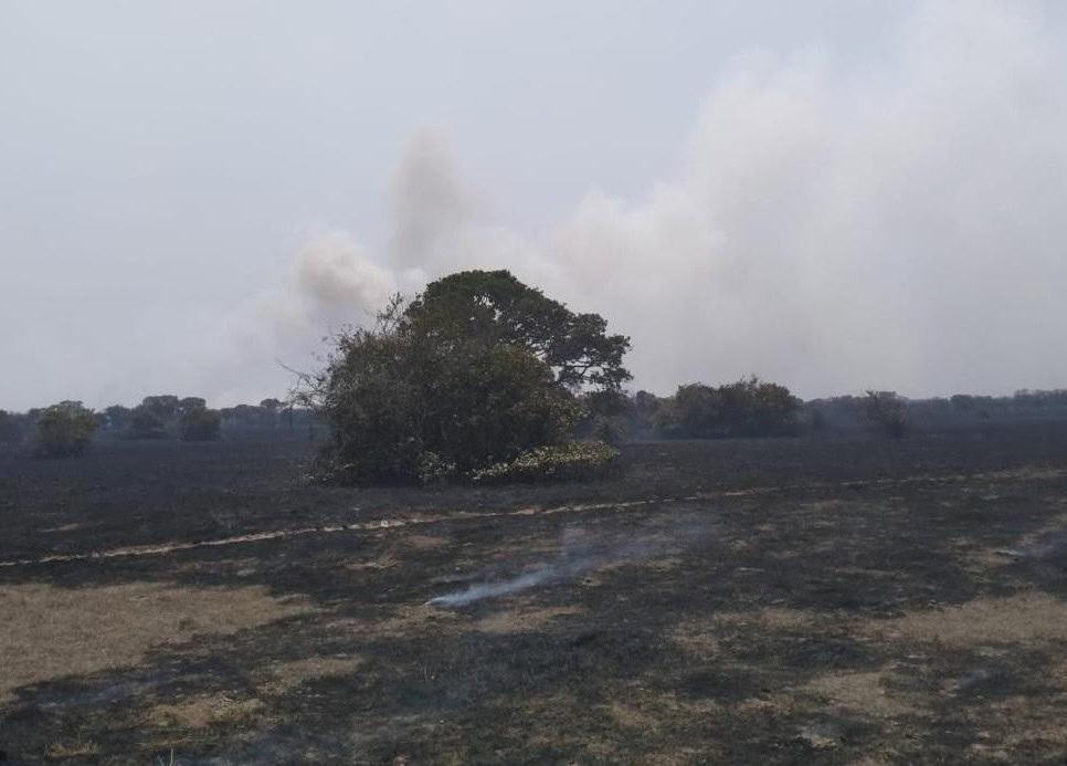 Incendio en Alvarado moviliza hasta a la Guardia Nacional