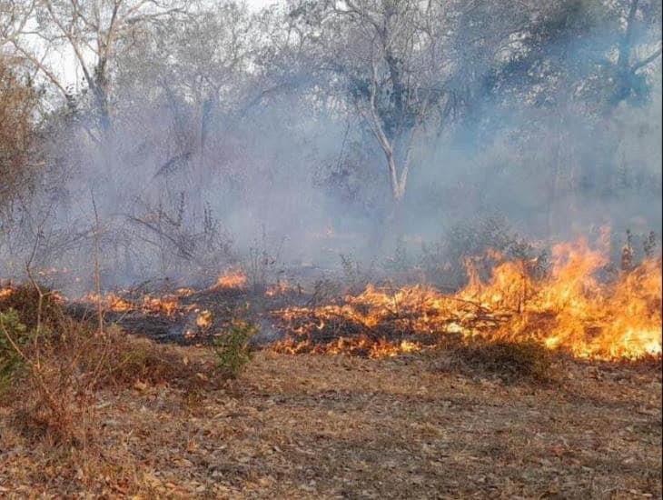 Denuncia múltiples incendios provocados gobierno de San Juan Evangelista | VIDEO