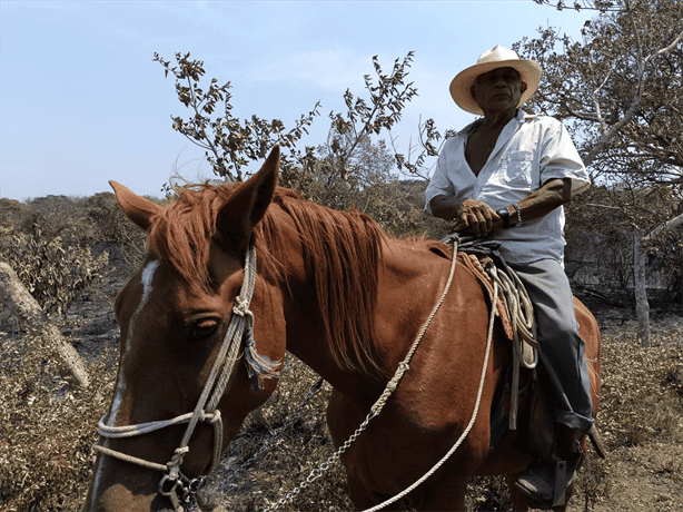 Tomás Cano vio 20 hectáreas de forraje para ganado consumirse en incendios de Alvarado