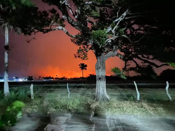 Incendio en pastizales de Alvarado están contralados un 70%, informa Protección Civil