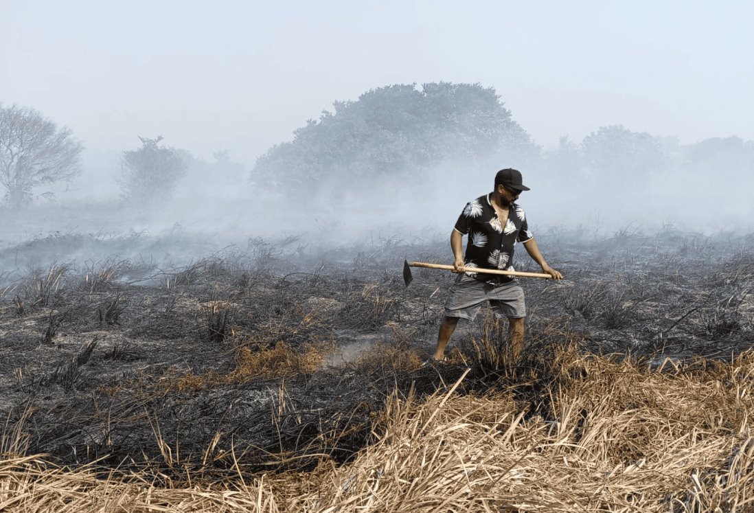 Tomás Cano vio 20 hectáreas de forraje para ganado consumirse en incendios de Alvarado