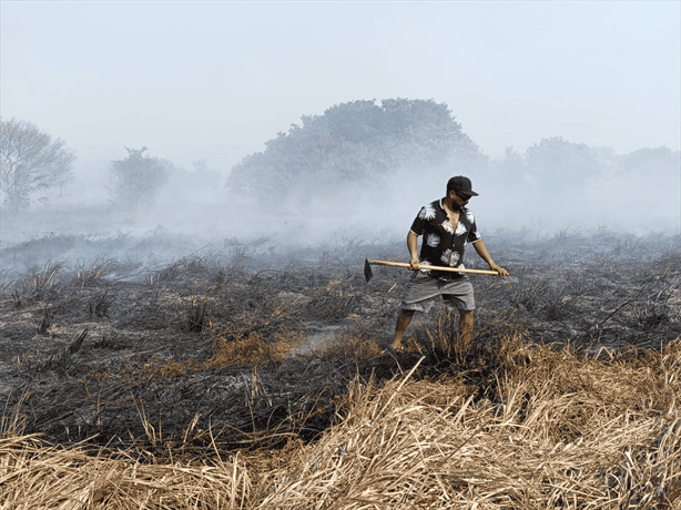 Tomás Cano vio 20 hectáreas de forraje para ganado consumirse en incendios de Alvarado