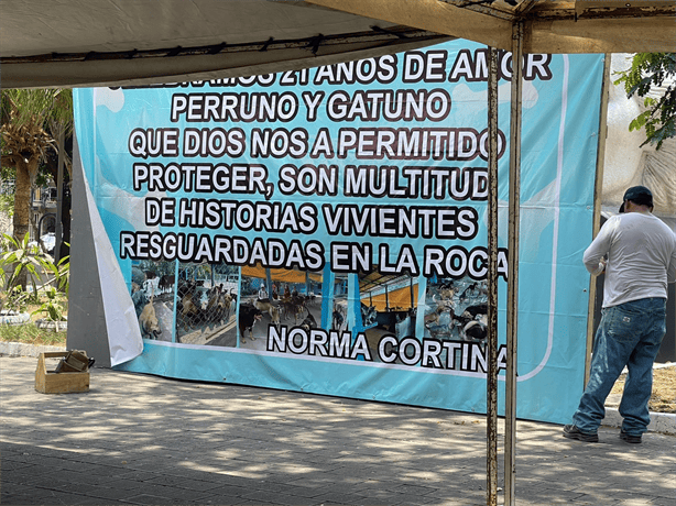Perretón 2024: Veracruz se une para apoyar el albergue "La Roca" y sus animales rescatados