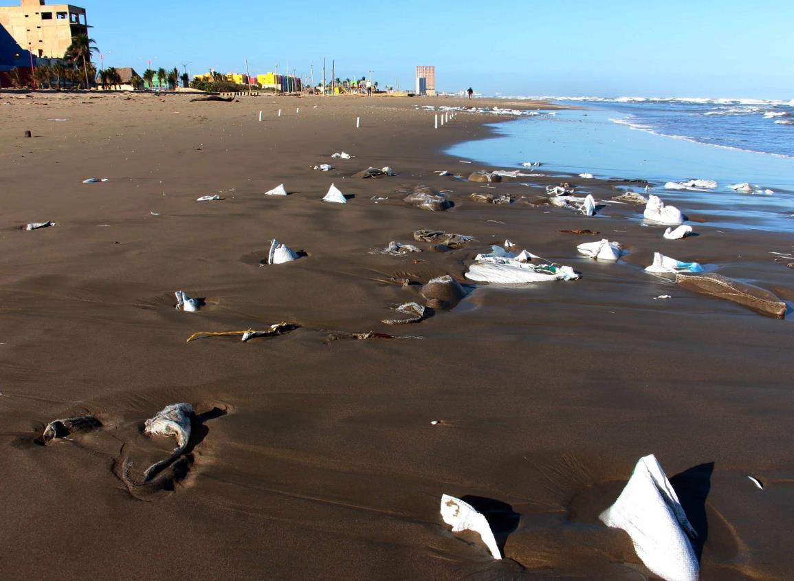 Nuevo caso de mortandad de peces en Coatzacoalcos; estas podrían ser las causas