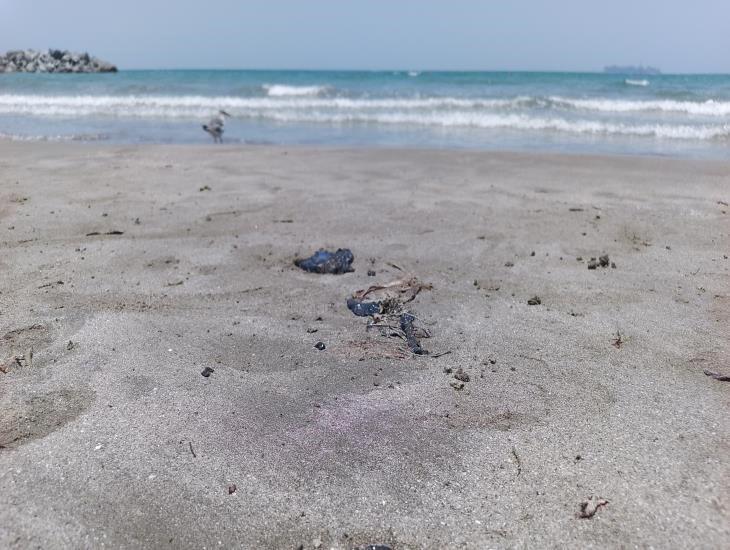 Aparece nuevamente chapopote en playa de Veracruz