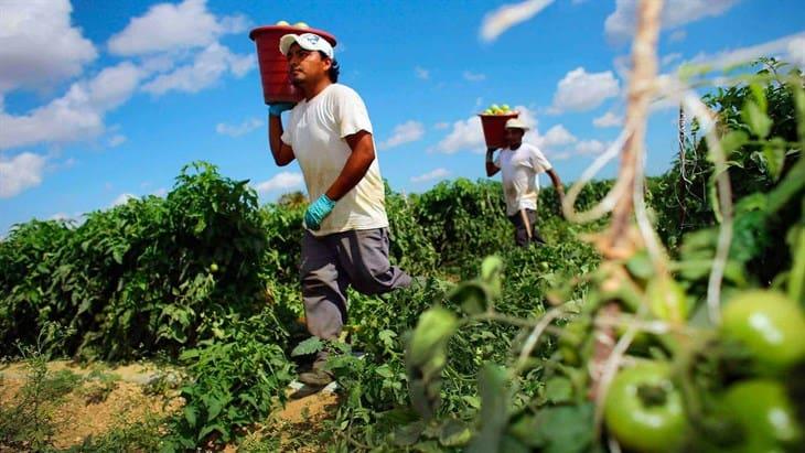 Se desacelera la economía, pero se registra crecimiento de 1.7% en abril