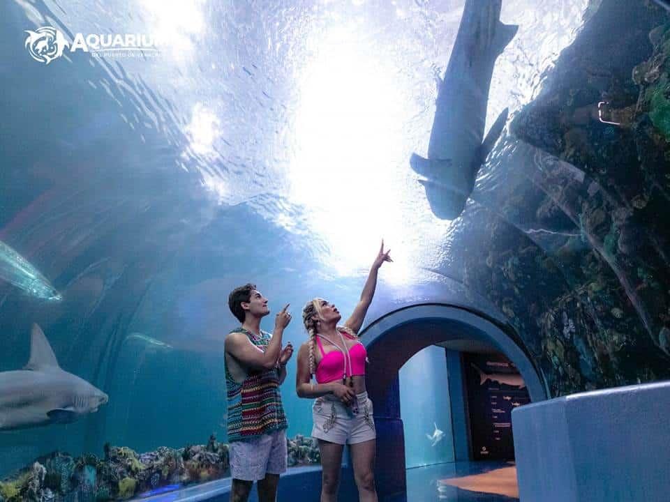 ¿Wendy Guevara y Emilio Osorio de visita en el acuario de Veracruz? Esto sabemos