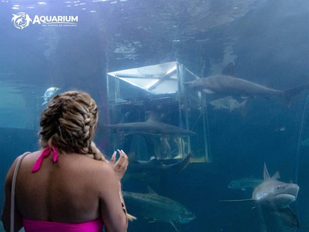 ¿Wendy Guevara y Emilio Osorio de visita en el acuario de Veracruz? Esto sabemos