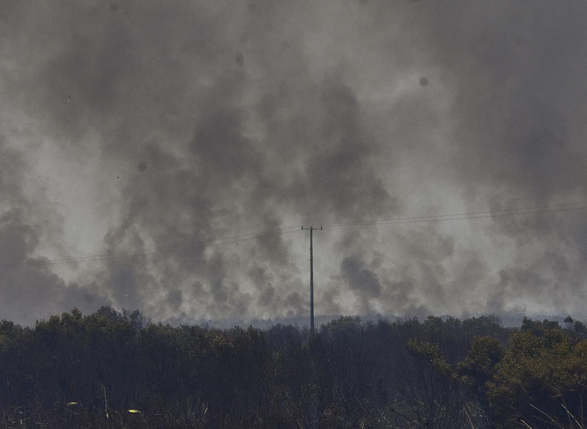 Ola de calor e incendios acaban con esta cantidad de pastizales en el sur de Veracruz