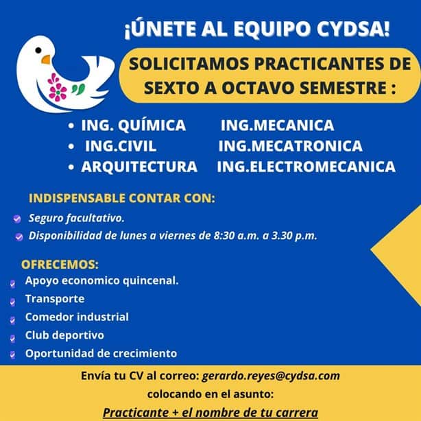 Cydsa solicita practicantes con apoyo económico: conoce los requisitos y carreras afines