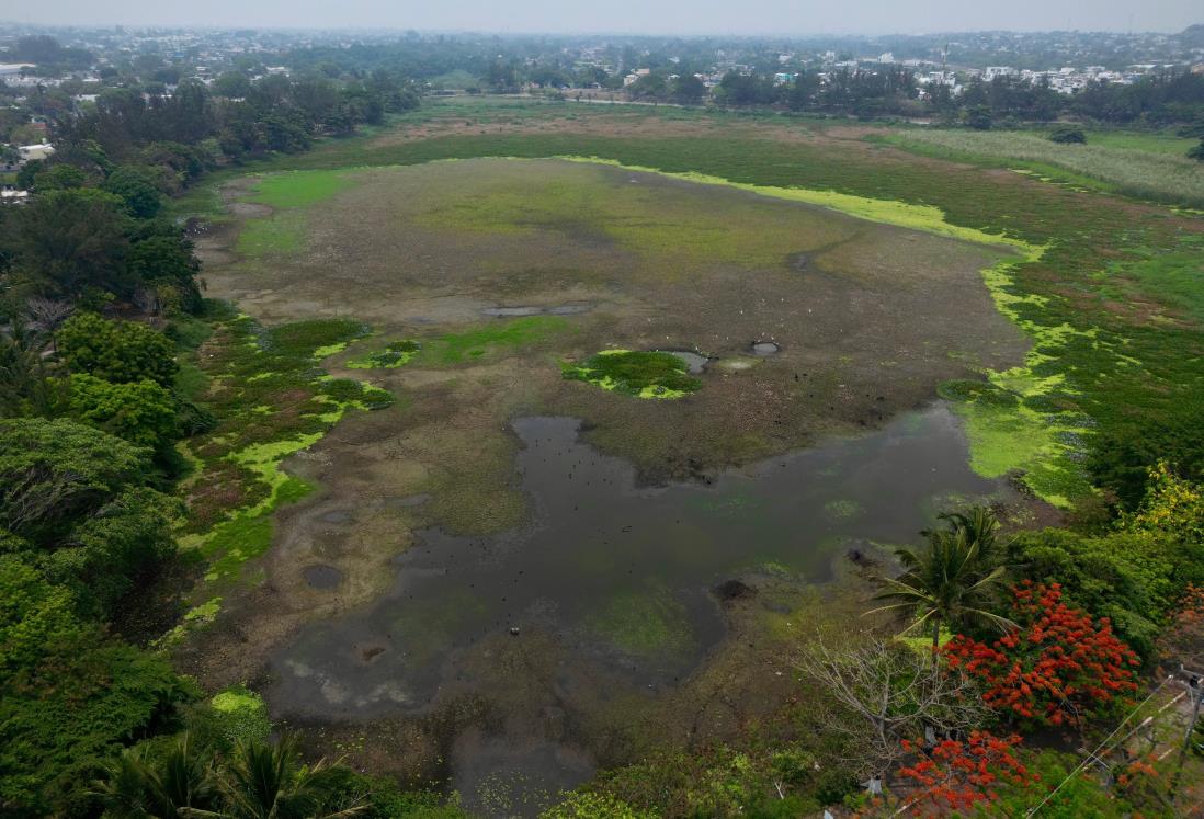 Laguna de Lagartos de Veracruz está en sequía grave, PMA alista rescate