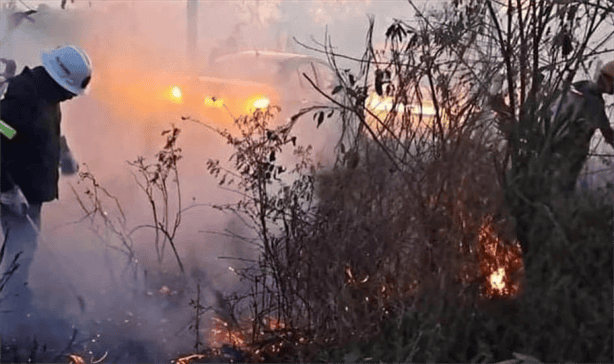 Incendio devasta la reserva Ría Lagartos en Yucatán: Perecen decenas de animales