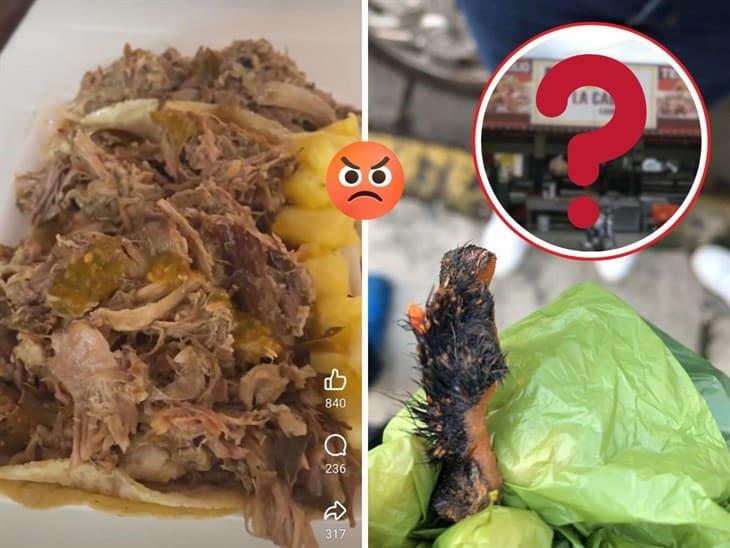 ¿Tacos con gusanos?; negocio de Xalapa también estaría relacionado con venta de carne de perro