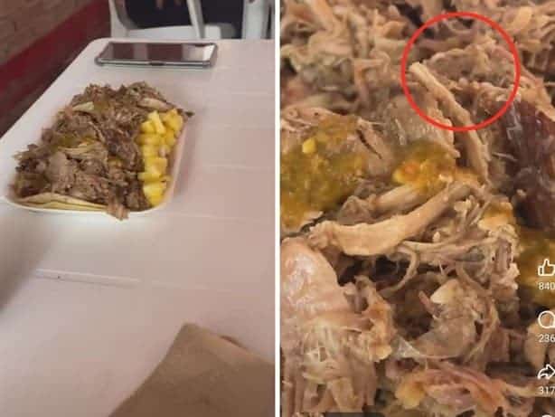 ¿Tacos con gusanos?; negocio de Xalapa también estaría relacionado con venta de carne de perro