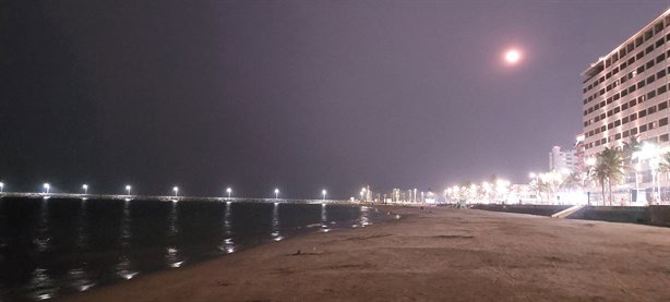 “¡Tiburones, Tiburones!”, se desata crisis en playa Regatas en Veracruz | VIDEO