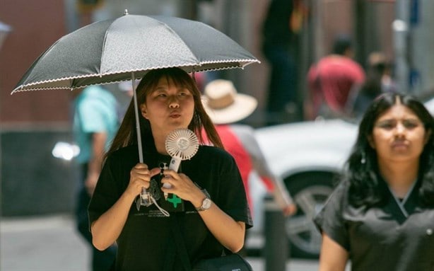 Canícula 2024 ¡Alerta por la peor ola de calor! ¿Afectará a Veracruz?