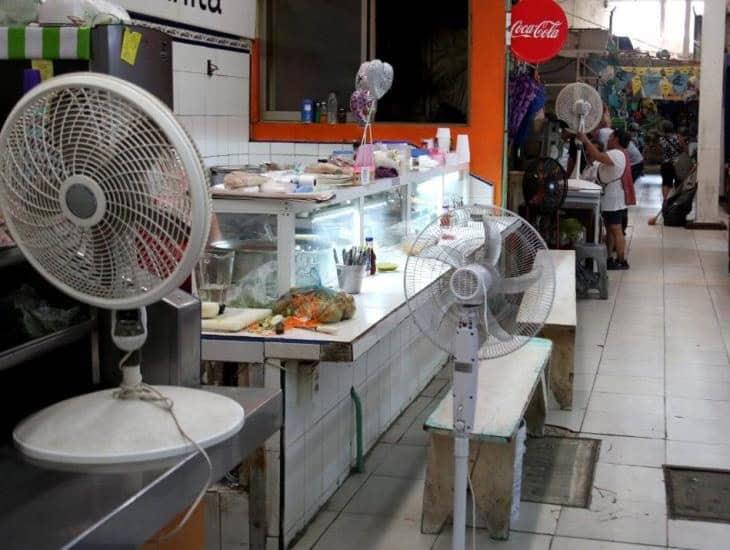 Ola de calor: locatarios del Mercado Morelos apaciguan intensas temperaturas con ventiladores | VIDEO