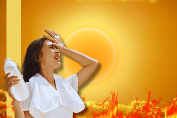 Canícula 2024 ¡Alerta por la peor ola de calor! ¿Afectará a Veracruz?