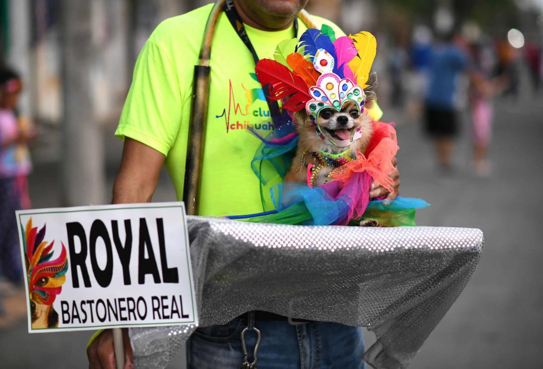 En esta fecha se realizará el "Carnaval más Perrón del Mundo" en Veracruz