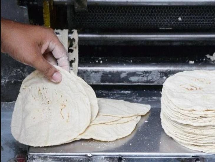 Tortillas piratas ¿qué son y cuáles son los riesgos por consumirla?