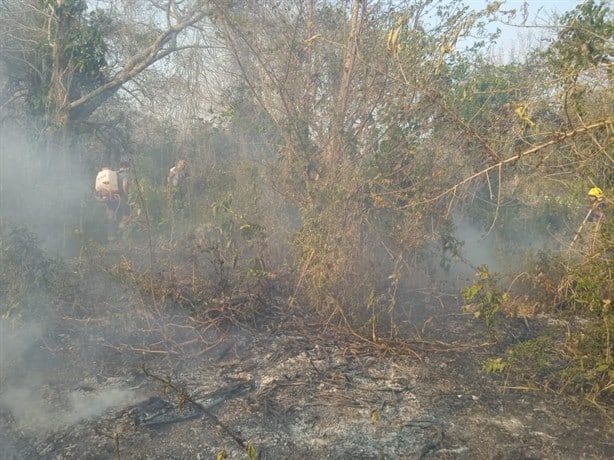 Incendio en pastizal de Úrsulo Galván moviliza a bomberos de Misantla