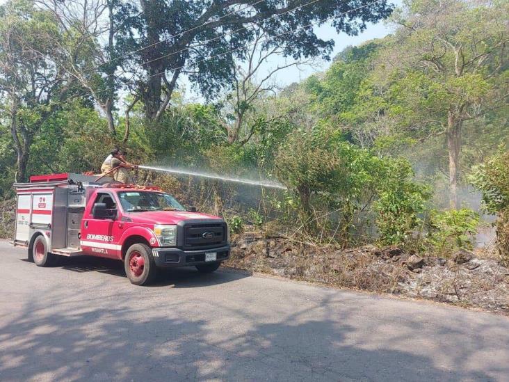 Incendio en pastizal de Úrsulo Galván moviliza a bomberos de Misantla