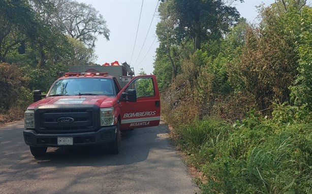 Incendio en pastizal de Úrsulo Galván moviliza a bomberos de Misantla