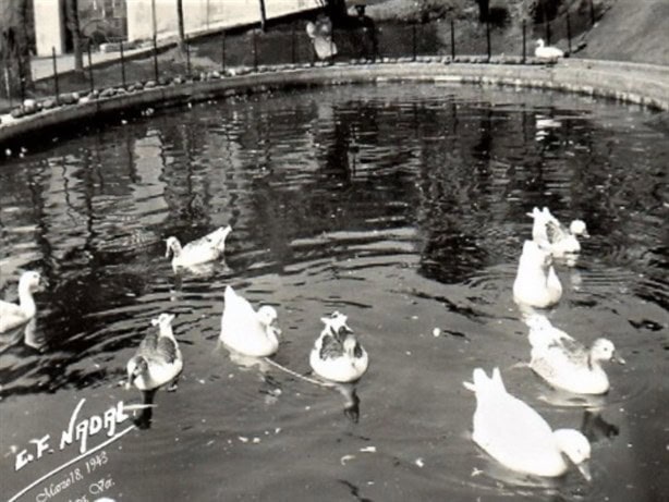 Parque Juárez, esta es la historia del estanque de patos ¿lo recuerdas? 