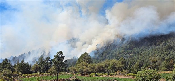 Incendios en Veracruz: Reporta SPC 15 incendios forestales y cinco de pastizales