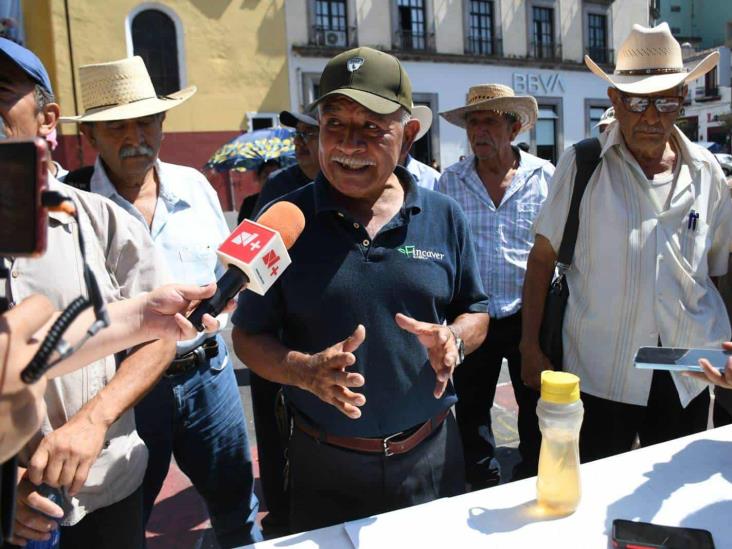 Hemos vivido casi seis años de exclusión: cafeticultores de Veracruz