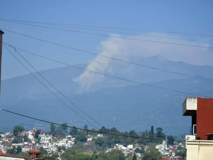 Incendios en Veracruz: Reporta SPC 15 incendios forestales y cinco de pastizales