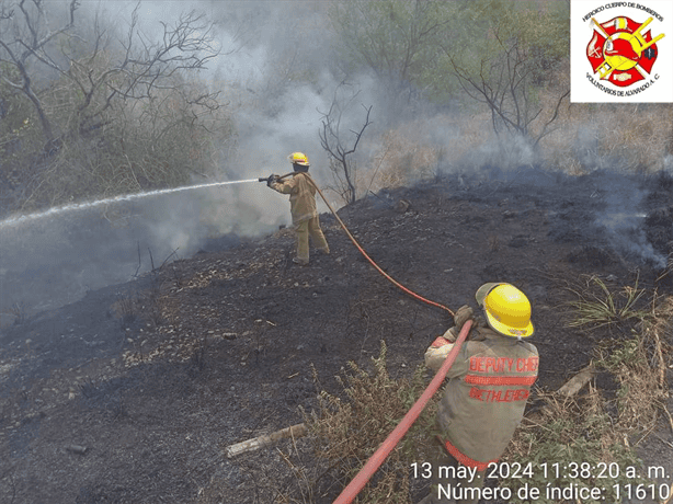 Bomberos de Alvarado combaten siete incendios de pastizales en las últimas 48 horas