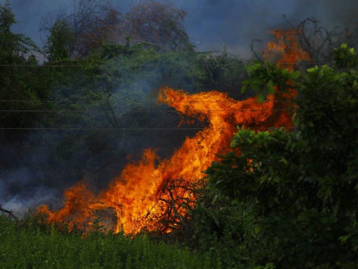 Se atienden 30 incendios en Veracruz; ola de calor no cede