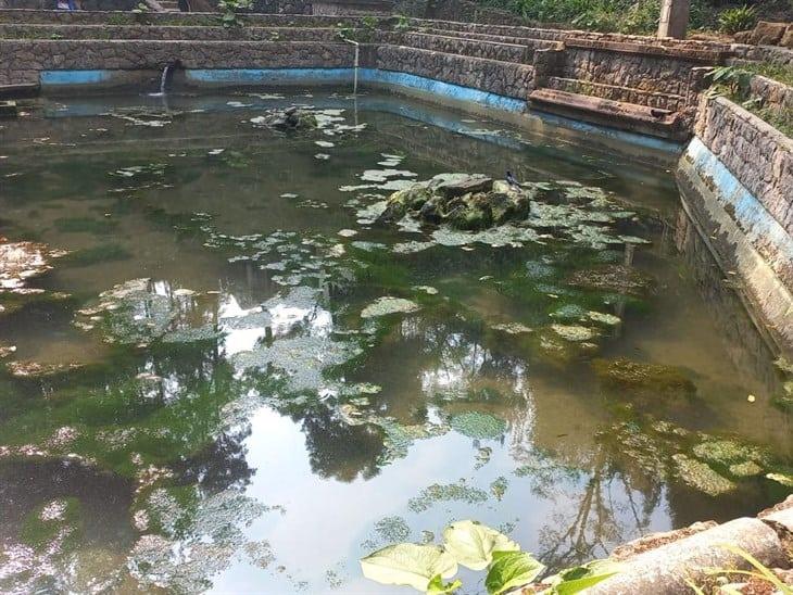 Los peces se pierden en el fango, exhiben descuido del Parque Los Tecajetes de Xalapa 