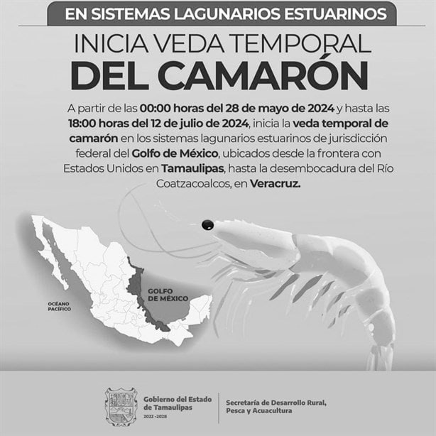 Veda de camarón: ¿qué es, cuánto dura y dónde aplica?