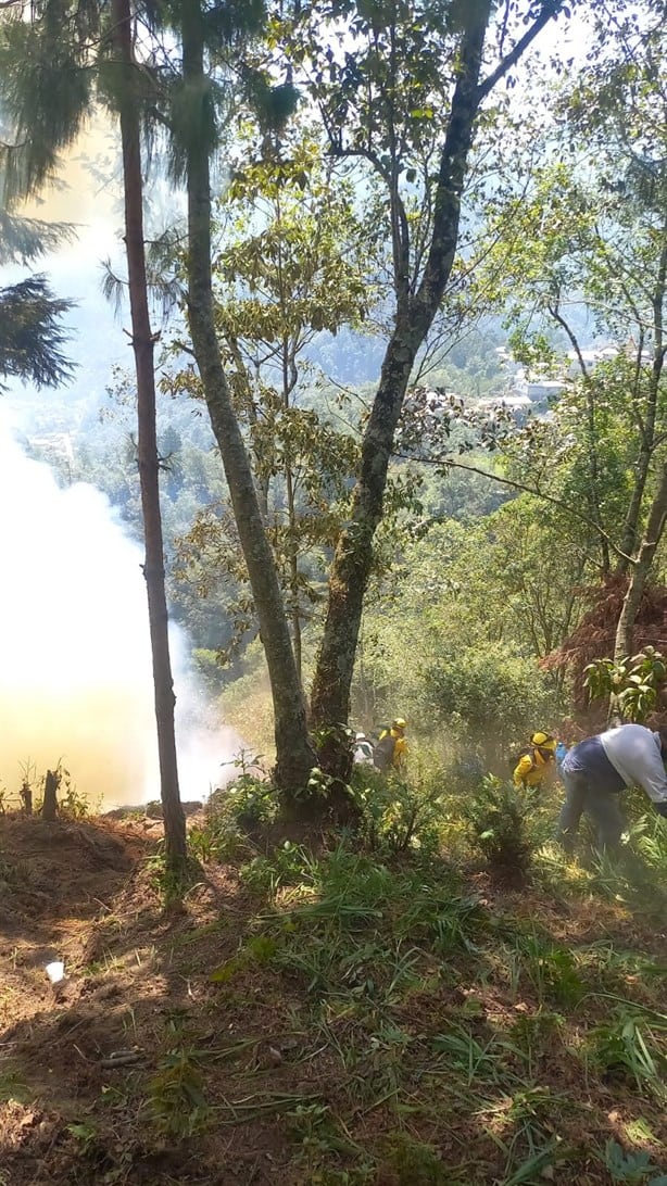 Combaten más de 20 incendios forestales en Veracruz, estos son los municipios afectados