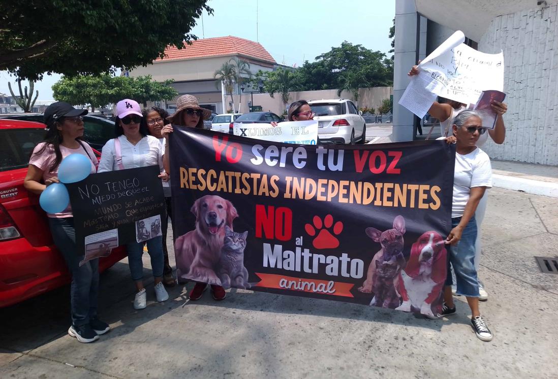 Se manifiestan en contra del maltrato animal en Veracruz; piden se atiendan las quejas
