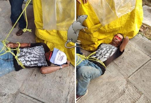 Presunto ladrón es detenido por intento de robo en vivienda de Fortín 