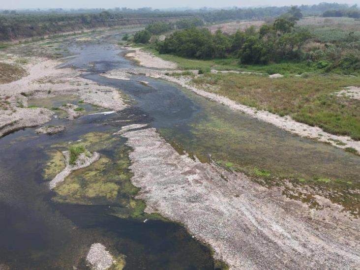 Fenómeno de cuña marina provoca emergencia ambiental en Tuxpan