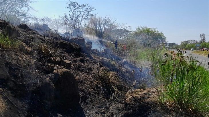 Hasta 10 incendios diarios se registran en Xalapa y alrededores; falta de agua perjudica ayuda 